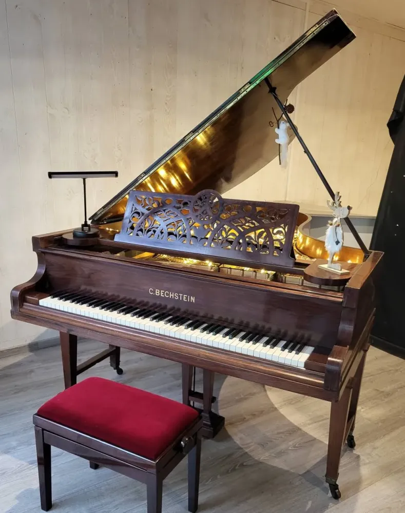 C. Bechstein