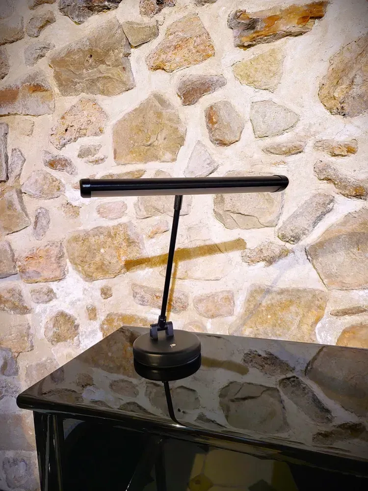 Lampe Noire mat LED
